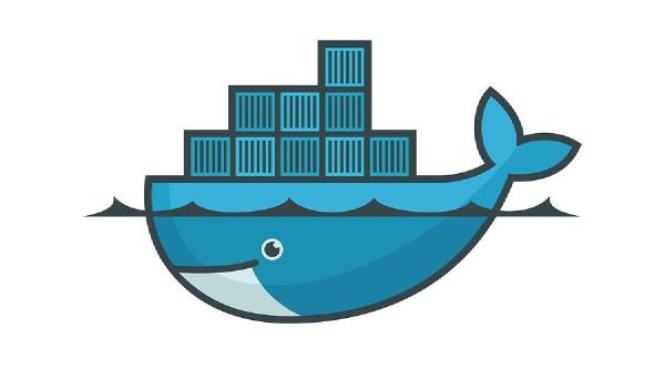用AWS的Docker挑选一只小猫咪